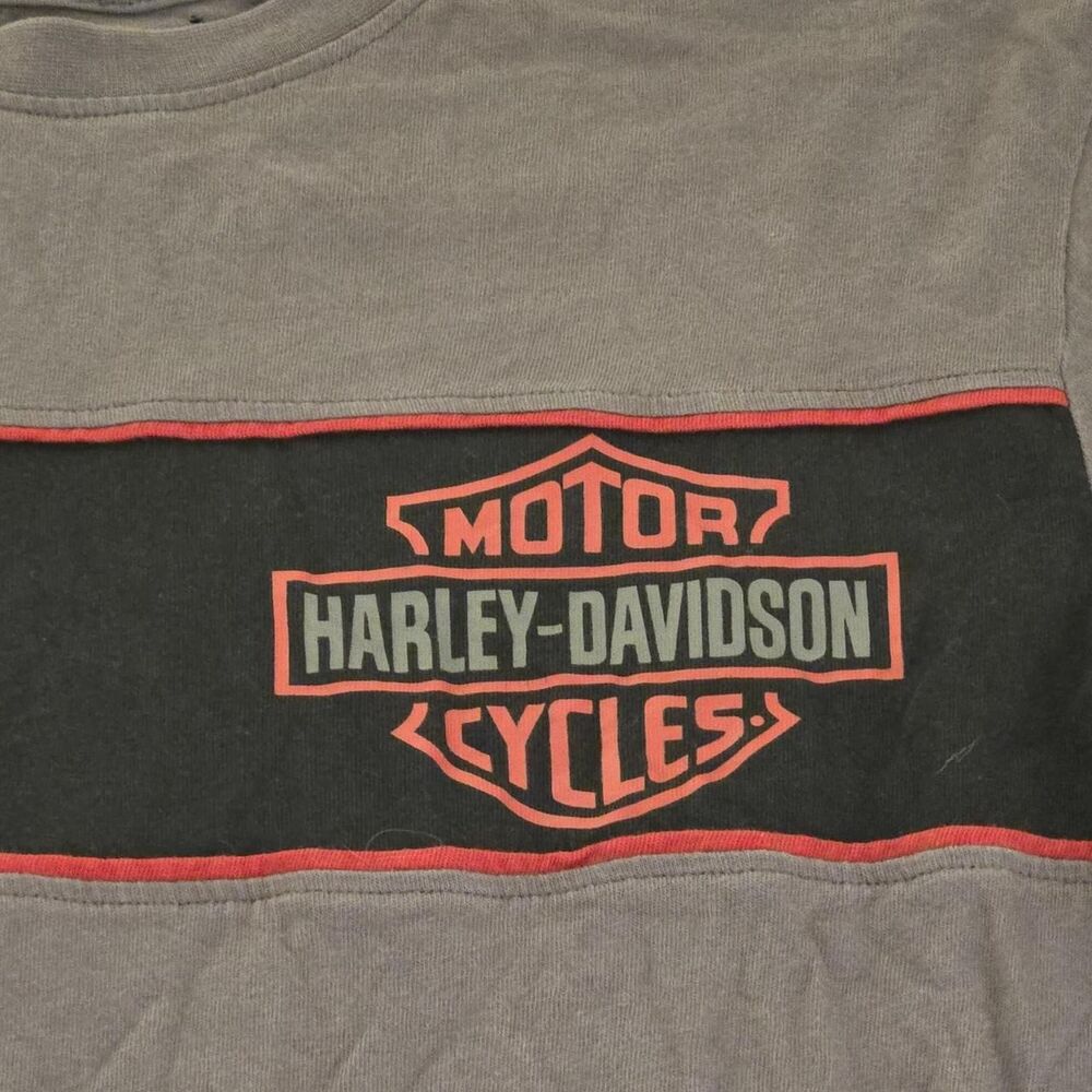 Harley-davidson Men's Grey and Navy T-shirt